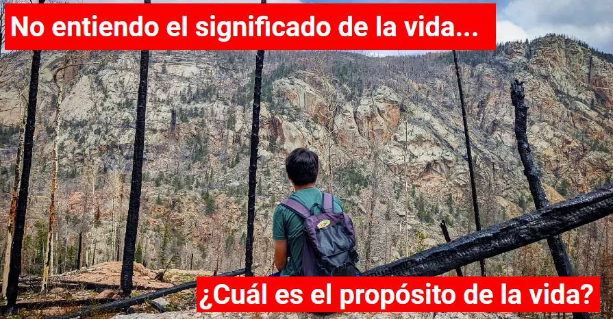 Significado de la vida