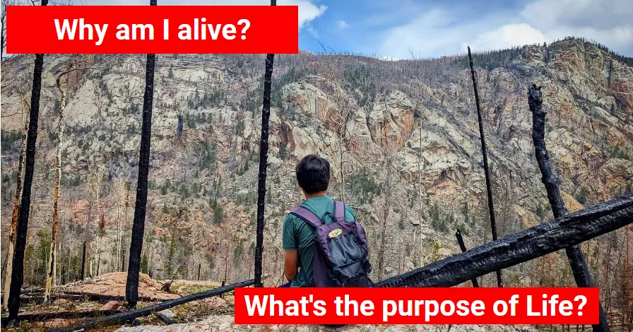 What is the meaning of life?