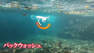 バックウォッシュ